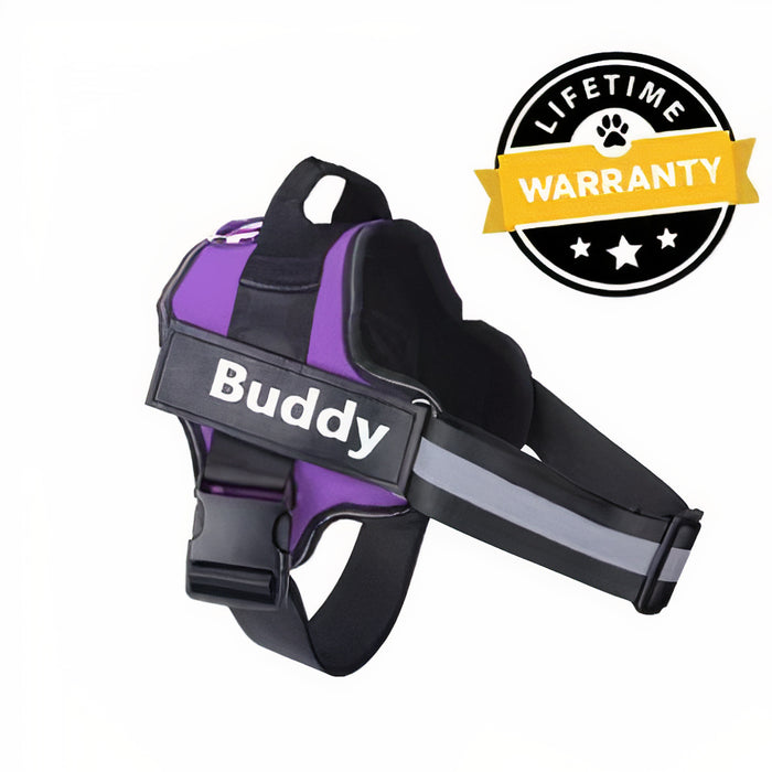 Stylish Comfortable Harness for Dogs